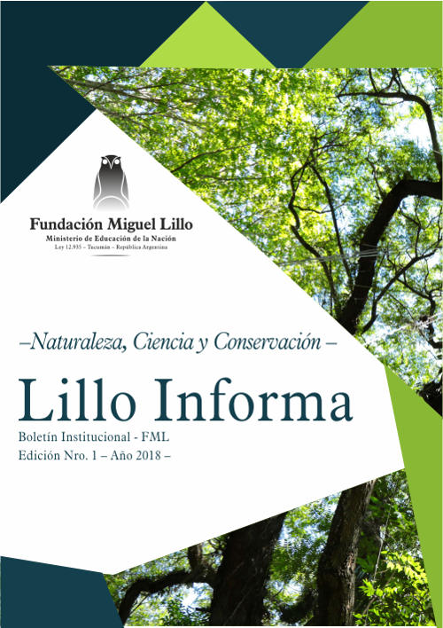 Lillo Informa 1 (2018)