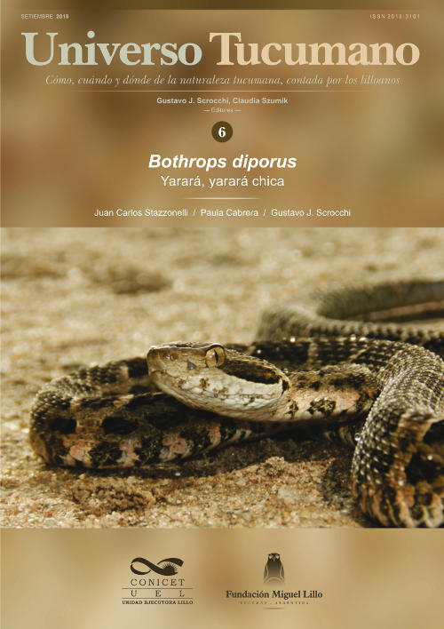 Universo Tucumano (6) (2018): Yarará, yarará chica (Bothrops diporus)