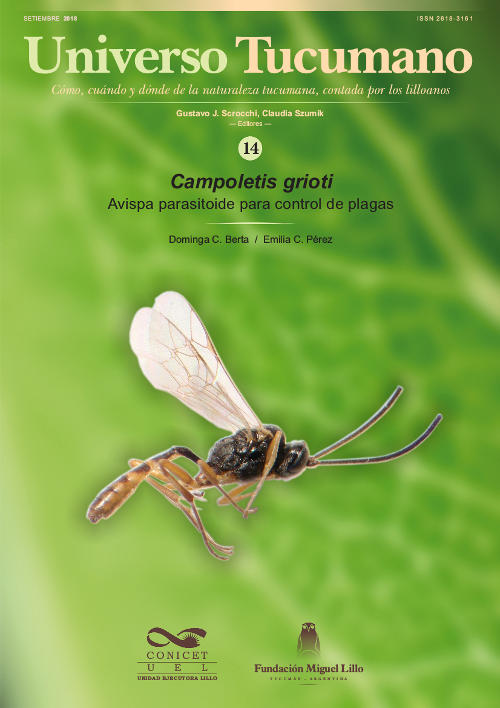 Universo Tucumano 14 (2018): Parasitoide para control de plagas (Campoletis grioti)