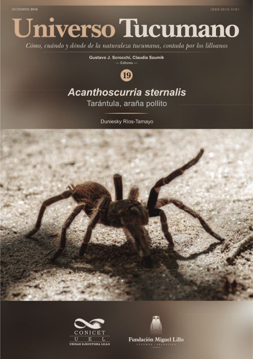 Universo Tucumano (19) (2018): Tarántula, araña pollito