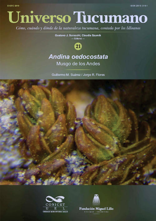 Universo Tucumano (21) (2019): Musgo de los Andes