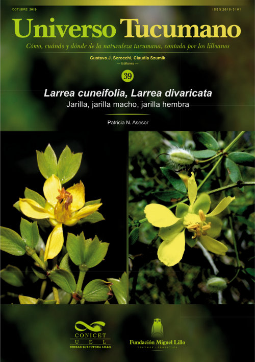 Universo Tucumano (39) (2019): Jarilla