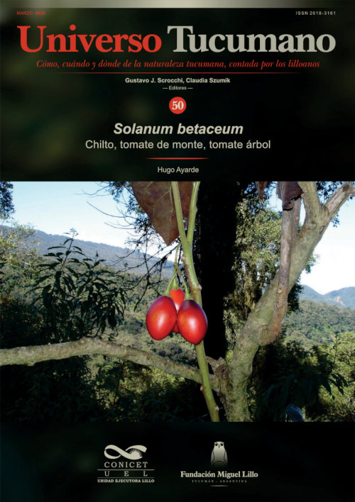 Universo Tucumano 50 (2020): Chilto, tomate de monte, tomate árbol
