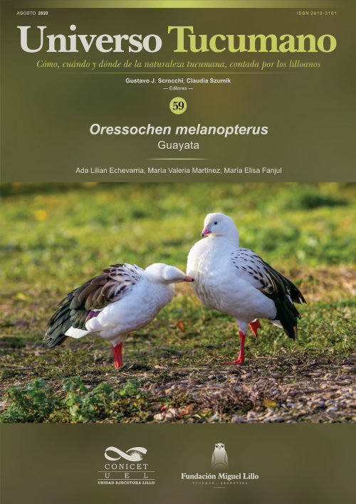 Universo Tucumano 59 (2020): Guayata Oressochen melanopterus