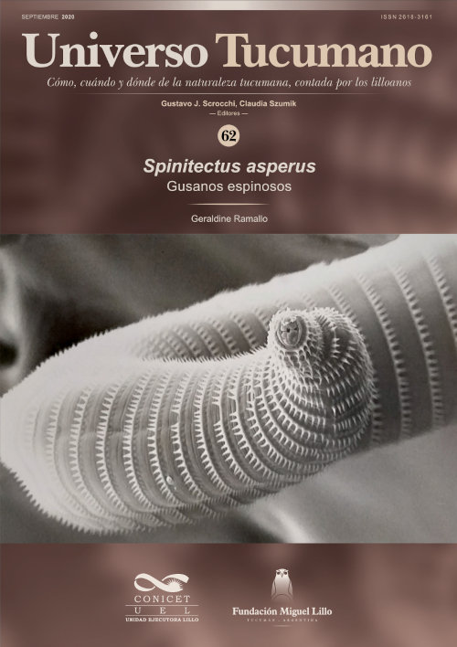 Universo Tucumano 62 (2020): Gusanos espinosos, Spinitectus asperus