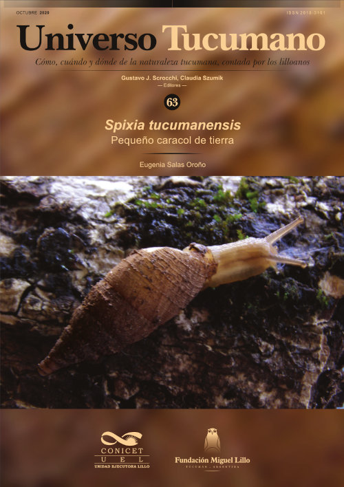 Universo Tucumano 63 (2020): Pequeño caracol de tierra, Spixia tucumanensis