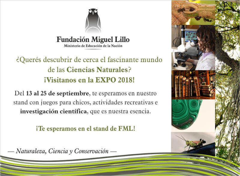 FML Expo 2018. Invitación