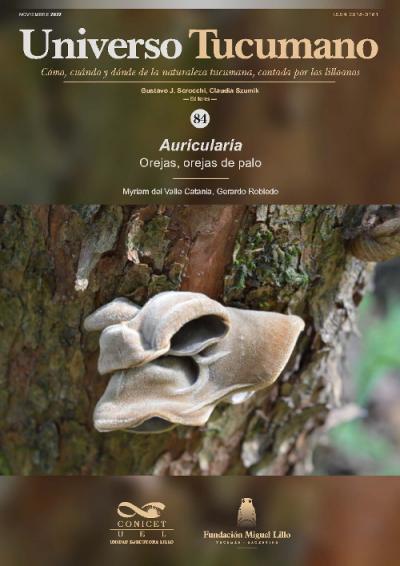 Universo Tucumano 84 (2022): Orejas, orejas de palo (Auricularia)