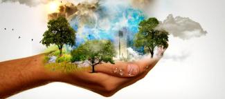 Conservación de la naturaleza
