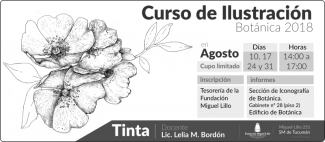 Curso Ilustración, Botánica 2018 (Tinta)