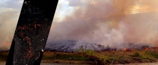 Incendios y deforestación en el América del Sur.