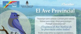 Atención tucumanos: ¡A votar el AVE PROVINCIAL! (Fundación Miguel Lillo)