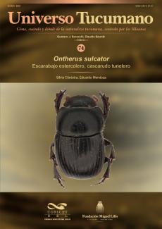 Universo Tucumano 74 (2021): Escarabajo estercolero, cascarudo tunelero (Ontherus sulcator)