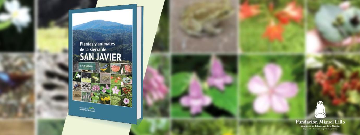 Una guía visual sobre San Javier acerca la flora y fauna a la comunidad