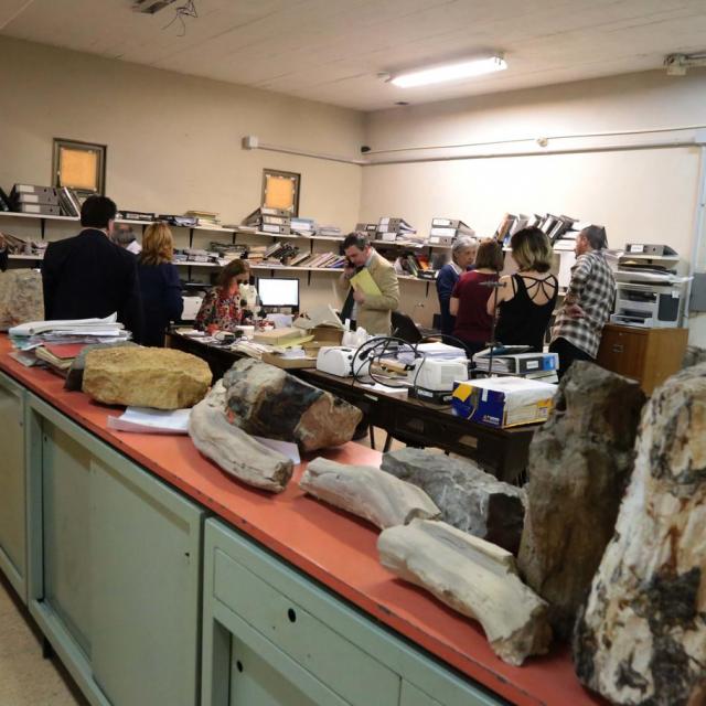 Integrantes de la Comisión provincial de Patrimonio Cultural (Ente Cultural de la provincia) visitaron la FML y recorrieron sus colecciones paleontológicas (Foto: FML,  Mauricio Suárez)
