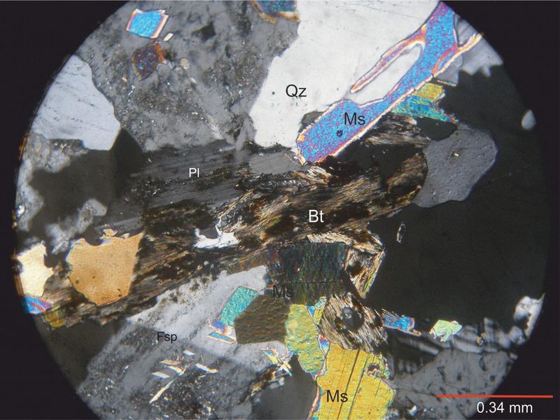 Archivo:2125-biotita c nicoles 2.jpg