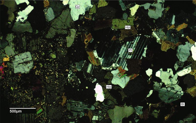 Archivo:FML-CD-166 CN x4b.jpg