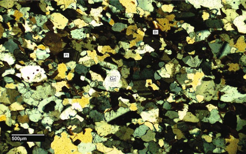 Archivo:FML-CD-248 CN x4.jpg