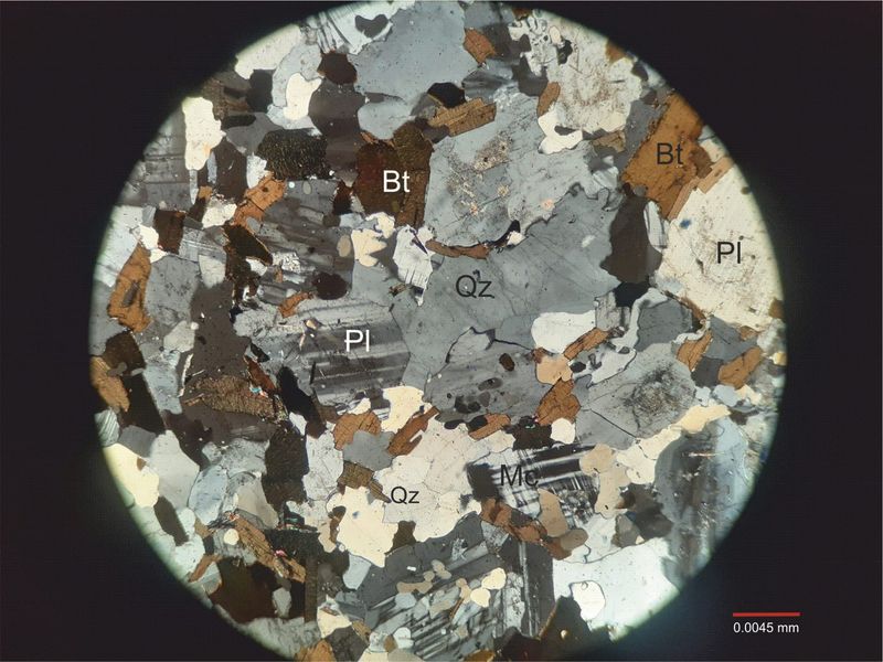 Archivo:106-Plagioclasa con nicoles 1.jpg