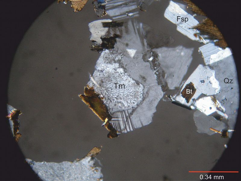 Archivo:111-Textura mirmequitica.jpg