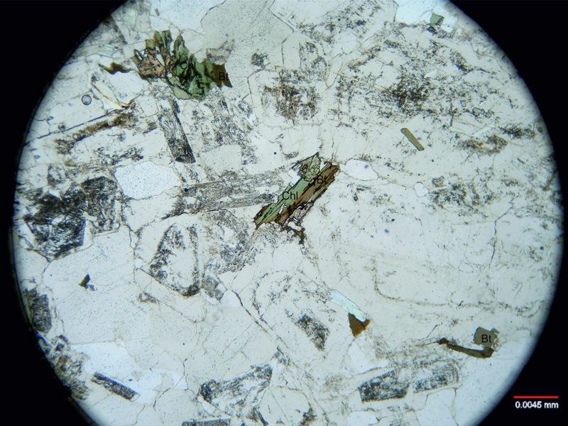 Archivo:Lp12-clorita y bt sin nicoles.jpg