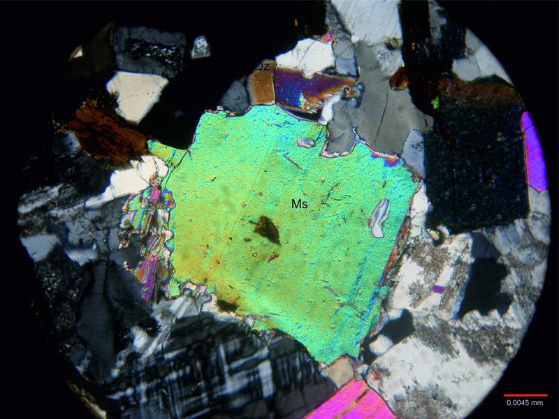 Archivo:2124-Muscovita c nicoles.jpg