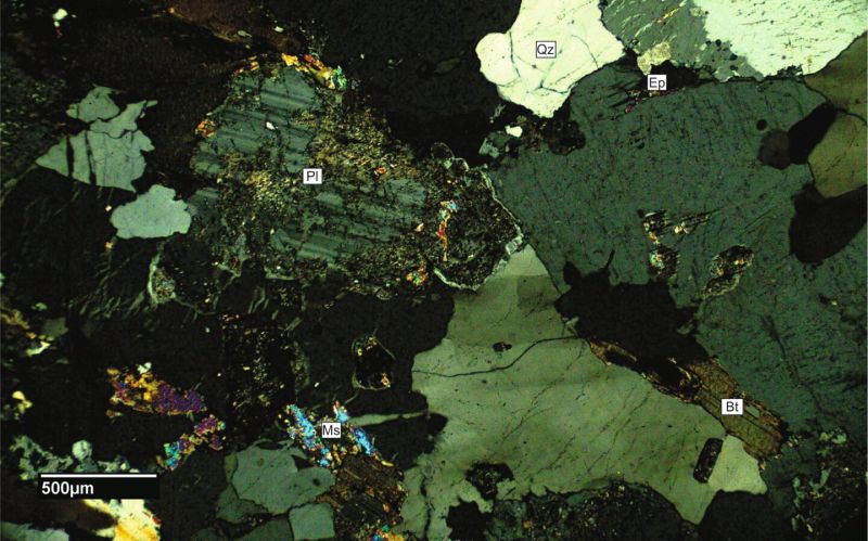 Archivo:FML-CD-273 CN X4.jpg