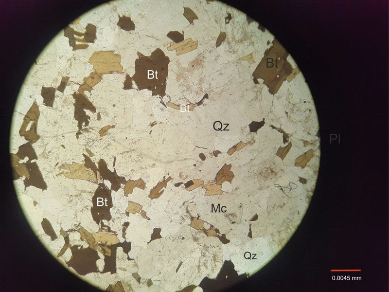 Archivo:106-Biotita sin nicoles.jpg