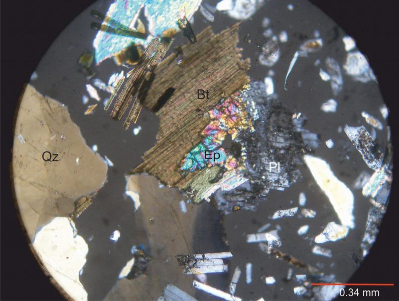 Archivo:321-Biotita con nicoles.jpg