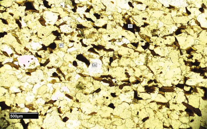 Archivo:FML-CD-248 SN x4.jpg