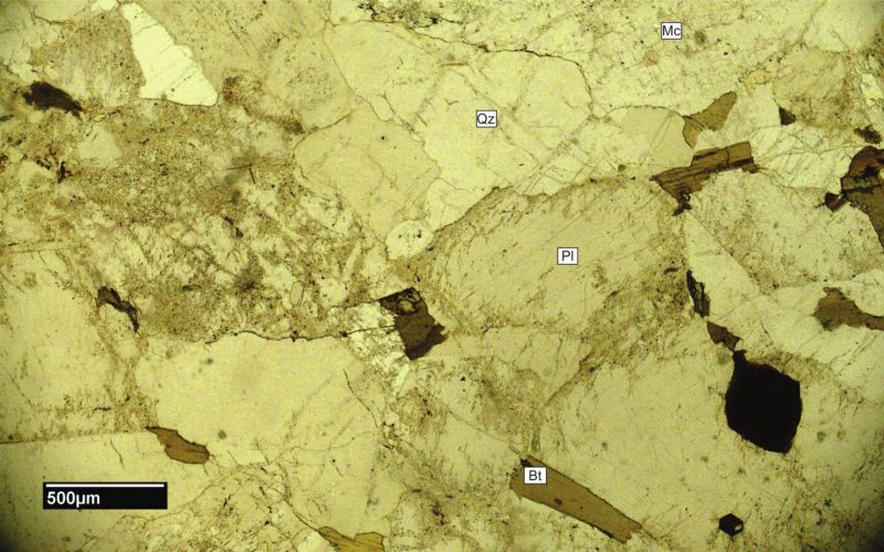 Archivo:FML-CD-276 SN X4.jpg