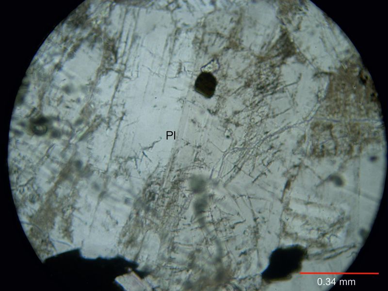 Archivo:111-Plagioclasa s nicoles.jpg