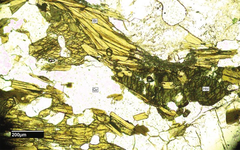 Archivo:FML-CD 225 SN x10.jpg