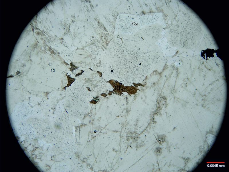 Archivo:728-Biotita s nicoles.jpg