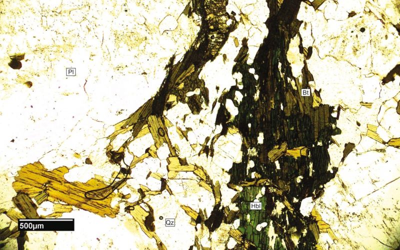 Archivo:FML-CD-225 SN x4.jpg