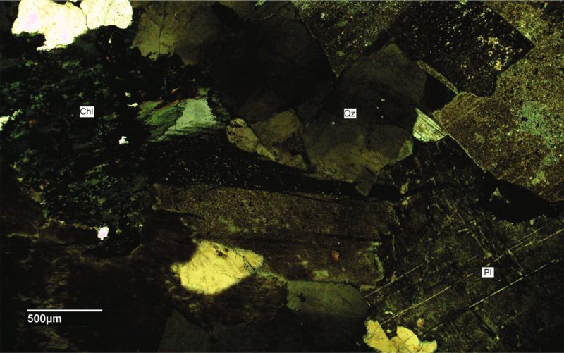 Archivo:FML-CD-264 CN x4.jpg