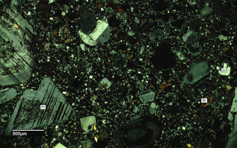 Archivo:FML-CD-286 CN X4.jpg