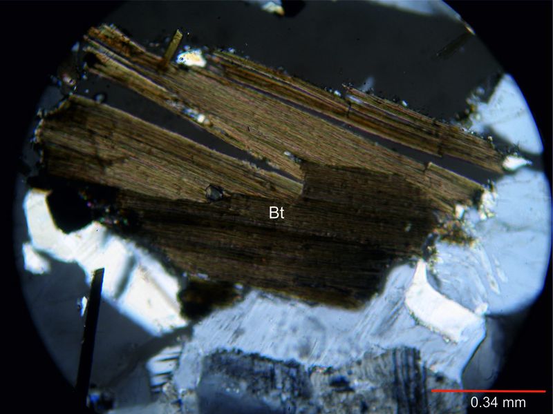 Archivo:56-Biotita c nicoles.jpg