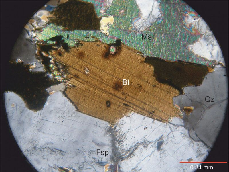 Archivo:109-Biotita con nicoles.jpg