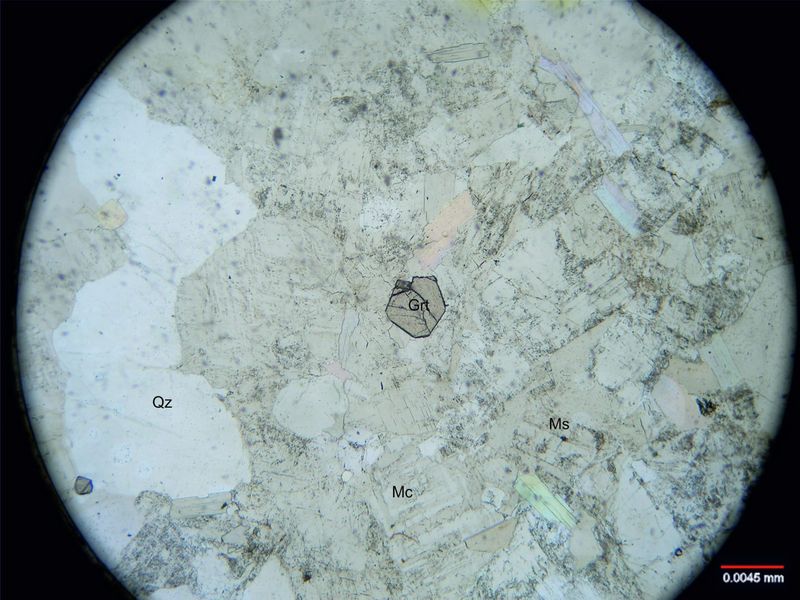 Archivo:Lp40-Granate sin nicoles.jpg