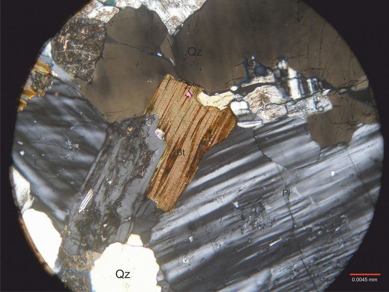 Archivo:2124-Biotita con nicoles 1.jpg