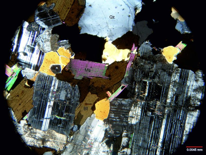 Archivo:113-Biotita y muscovita con nicoles.jpg