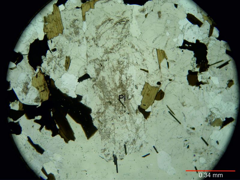 Archivo:106Plagioclasa sin nicoles.jpg