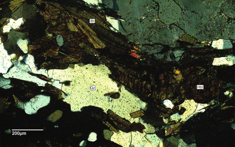 Archivo:FML-CD-225 CN x10.jpg