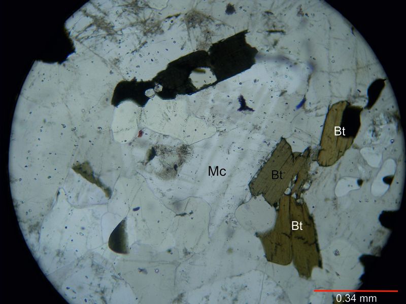 Archivo:106-Microclino sin nicoles.jpg