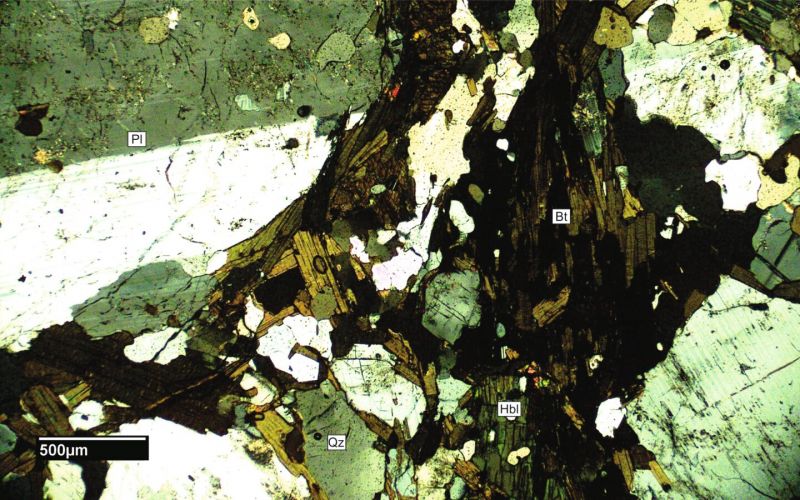 Archivo:FML-CD-225 CN x4.jpg