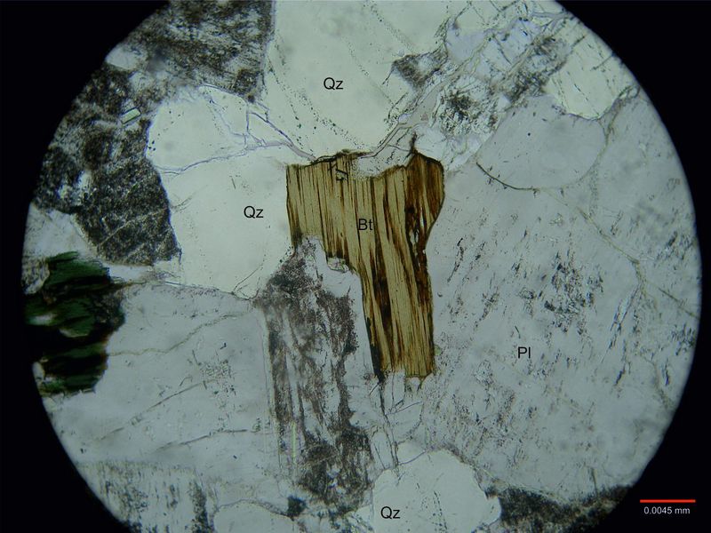 Archivo:2124-Biotita sin nicoles.jpg