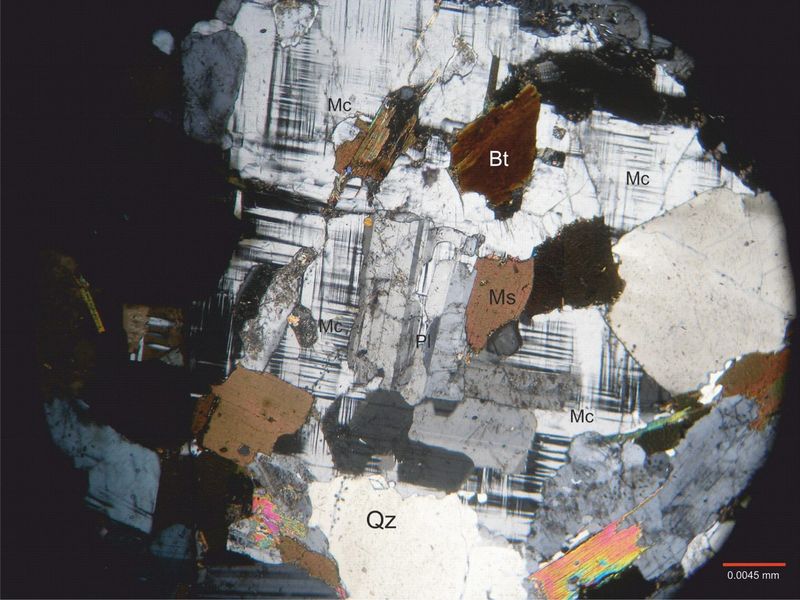 Archivo:Clc-Biotita con nicoles 1.jpg