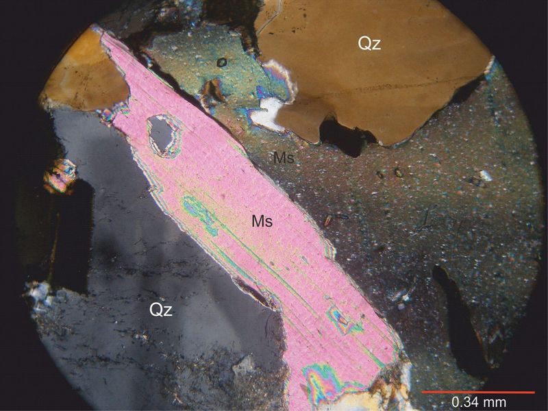 Archivo:109-Muscovita con nicoles.jpg