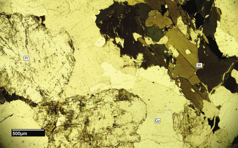 Archivo:FML-CD-305-SN x4.jpg